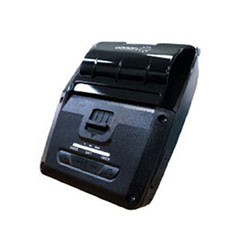 LK-P300